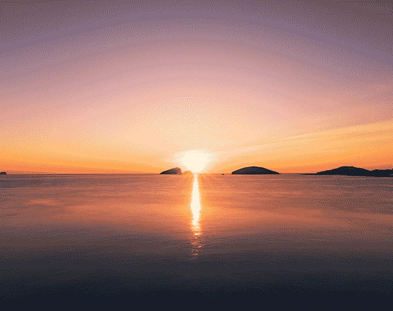 Samsung Galaxy S26/S26+